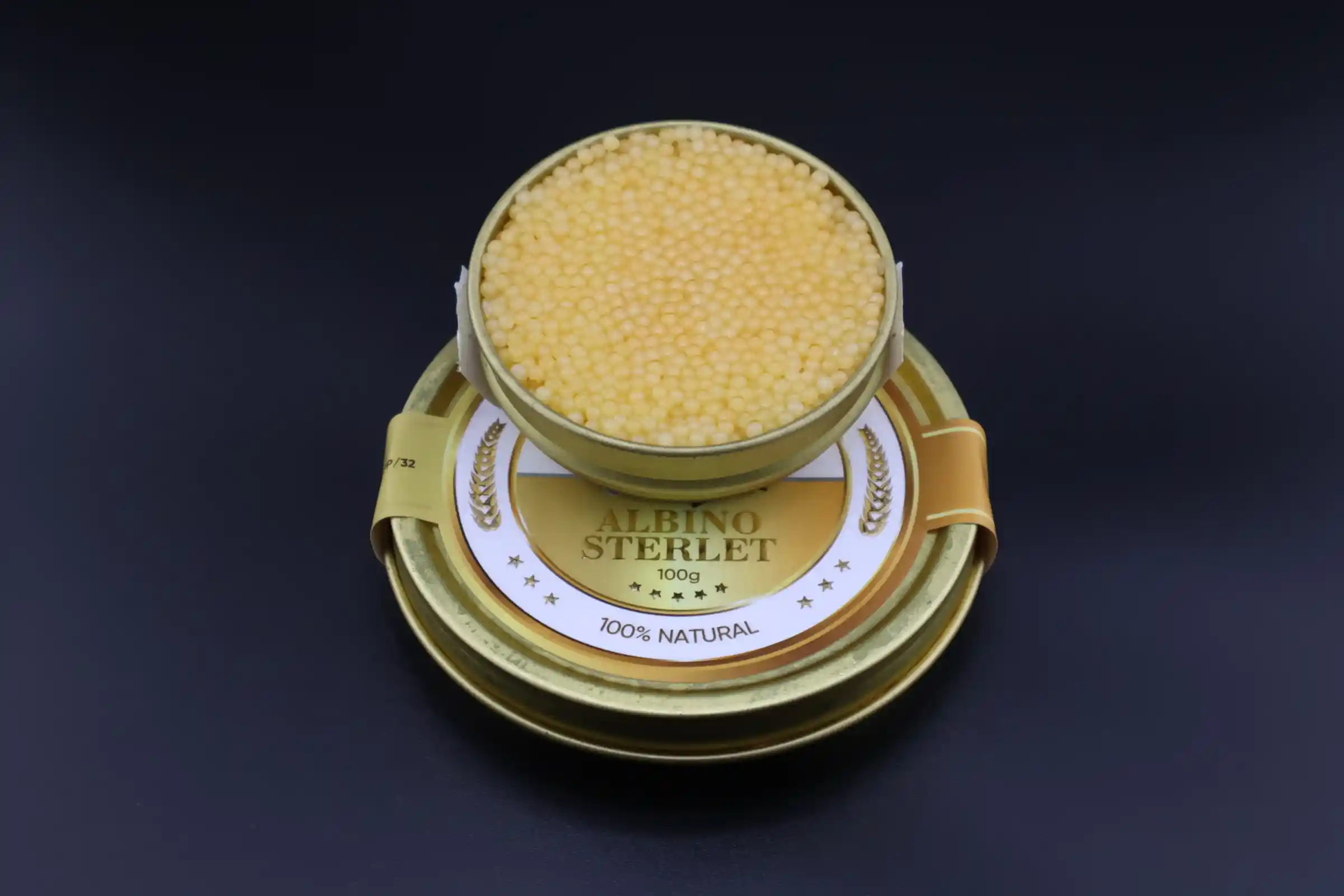 “Almas” Albino Sterlet (Acipenser Ruthenus)