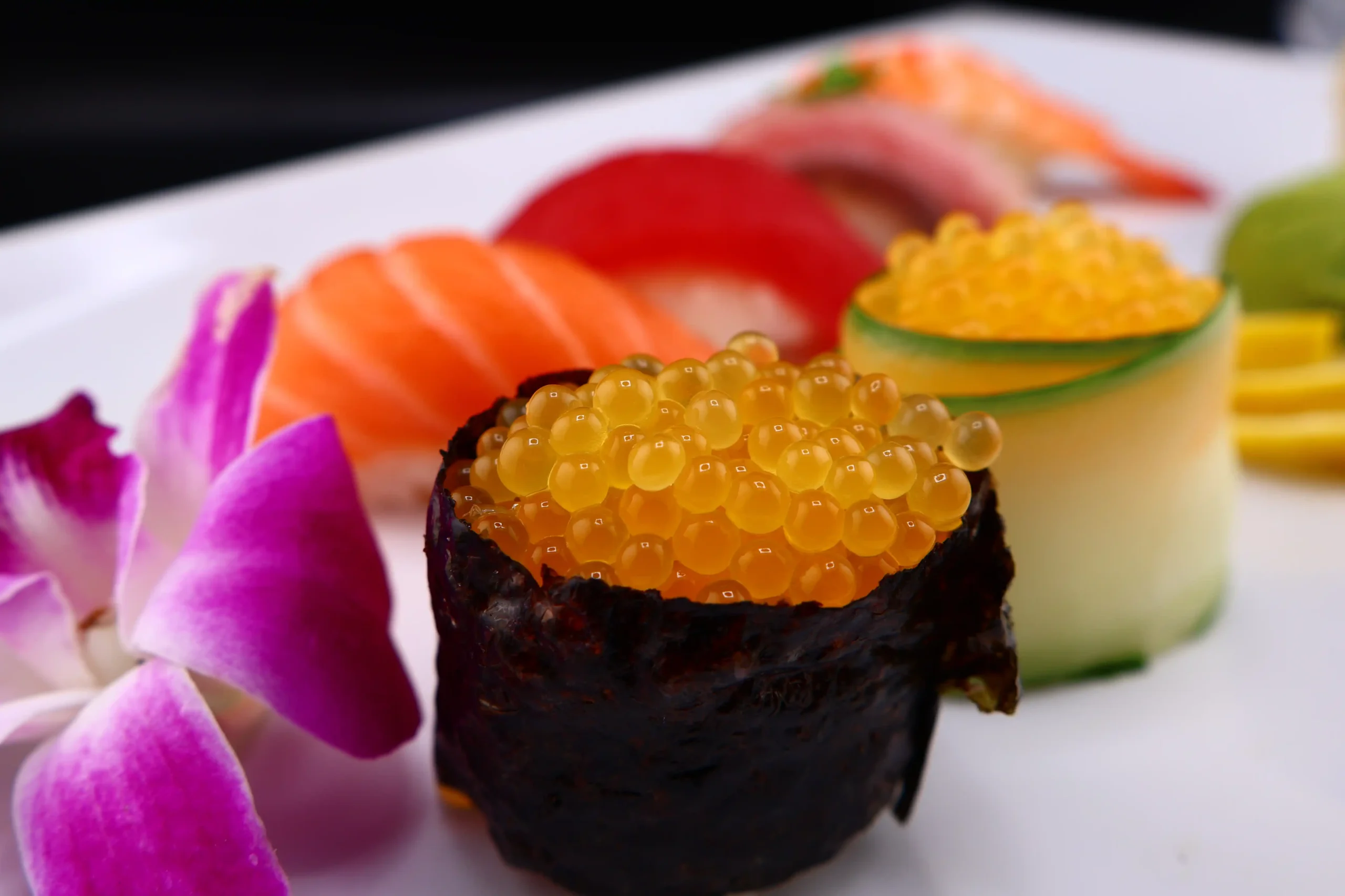 “Almas” Albino Sterlet (Acipenser Ruthenus)