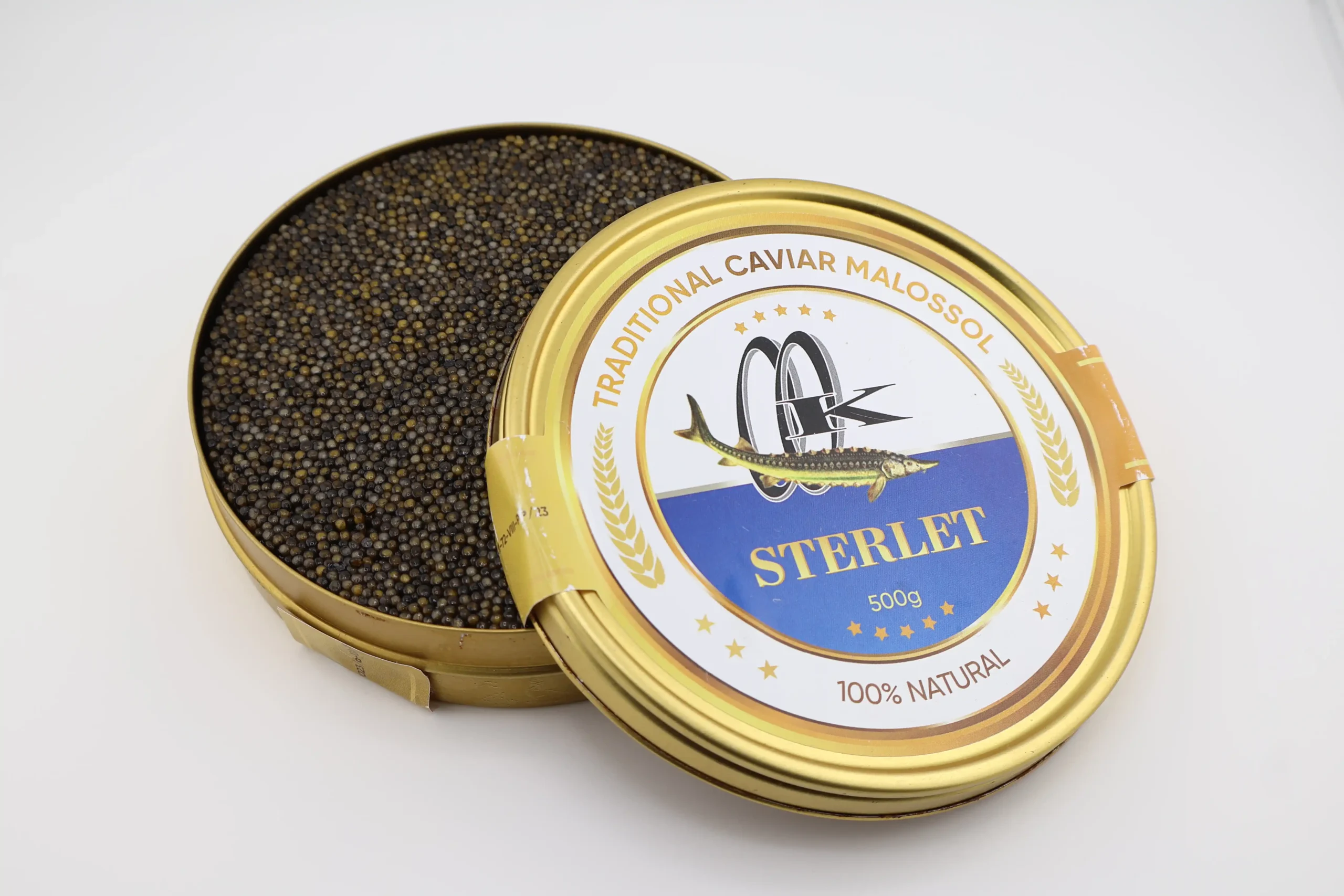 Sterlet (Acipenser Ruthenus)